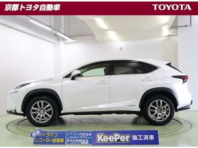 NX300h バージョンL
