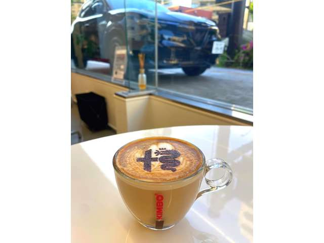 ジュニアイブリダ プレミアム
