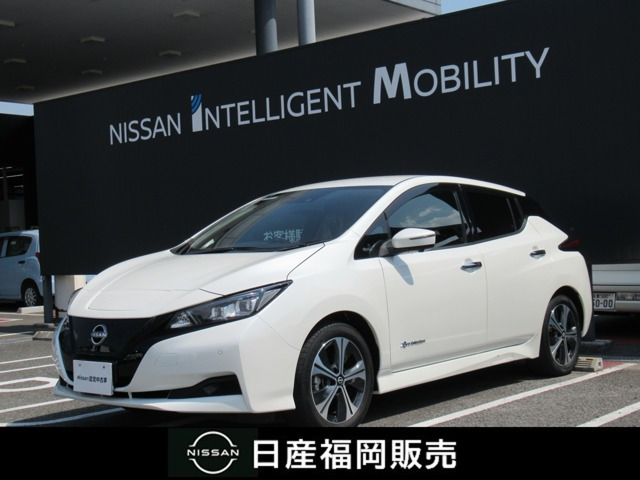 リーフ
