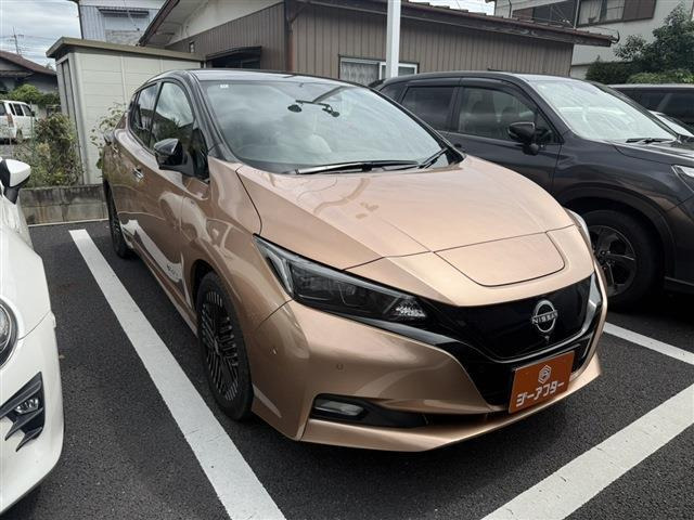 リーフG