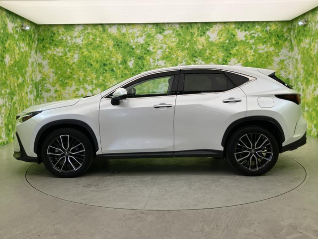 NX350h バージョンL