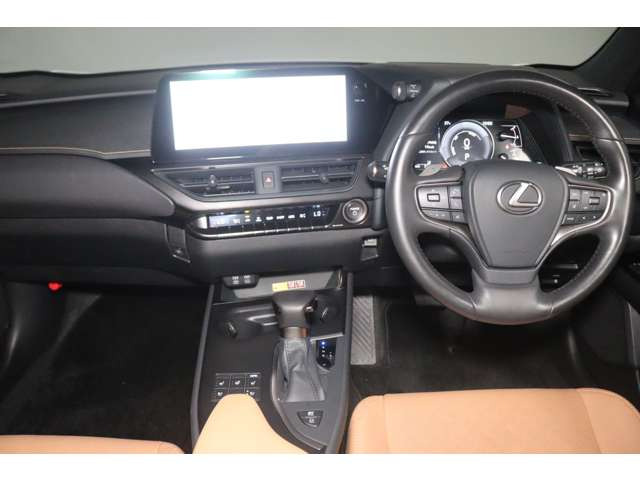 UX250h バージョンL