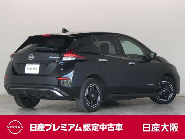リーフe+ X