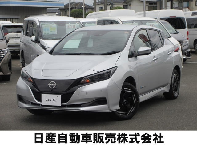リーフe+ X