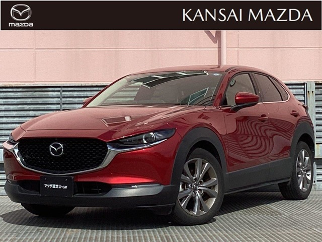 CX-301.8 XD Lパッケージ