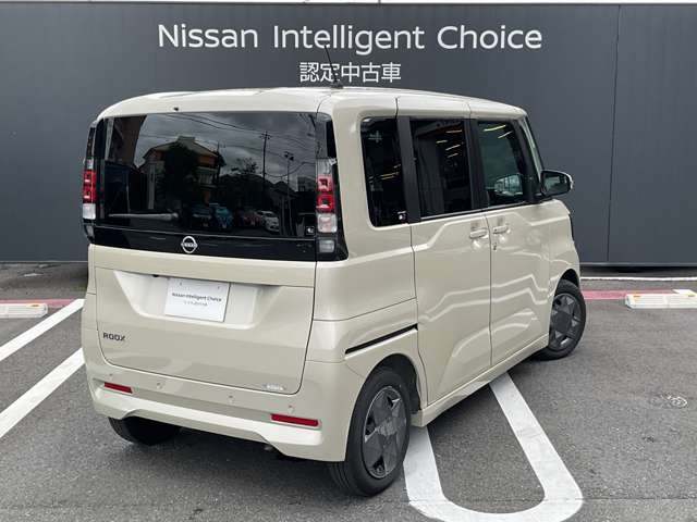 デイズルークスX