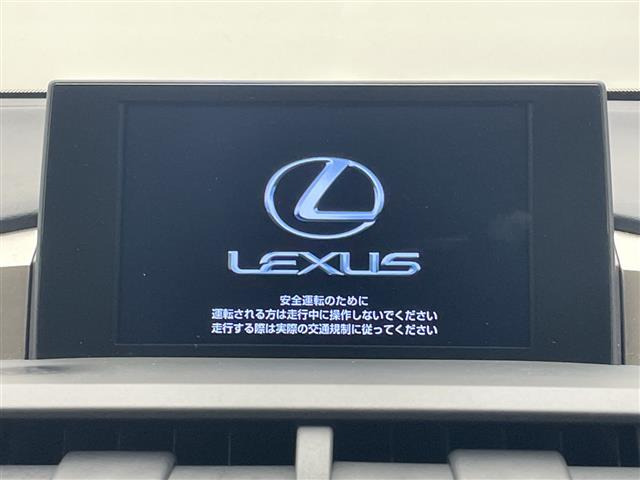 NX300h Fスポーツ