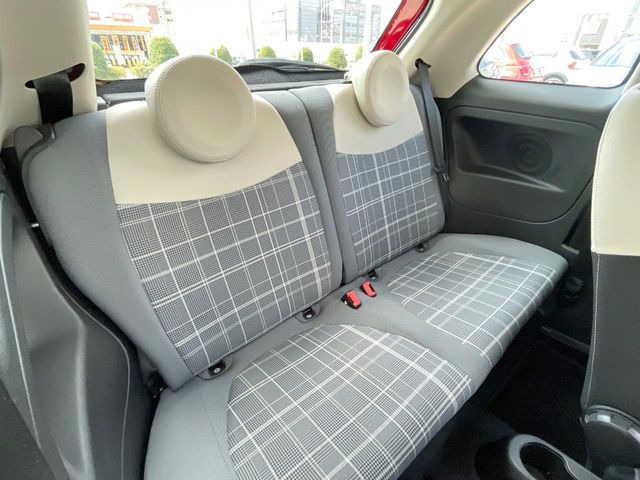 ���㕔���Ȃ��C�ɂȂ�悤�ȃL�Y�E�����ւ��蓙�A�傫�ȃ_���[�W�͂Ȃ��A�ǍD�ȏ�Ԃł��B