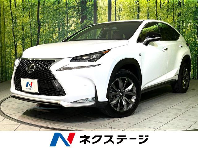 NX300h Fスポーツ
