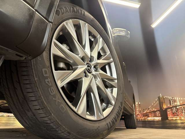 ����19�C���`�A���~�z�C�[��!�A���~�̃R�[�e�B���O��������܂�!���ꂪ���ȃA���~�z�C�[�������S�ł�!!