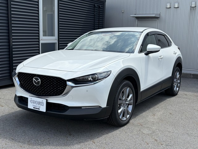 CX-301.8 XD プロアクティブ ツーリングセレクション 4WD
