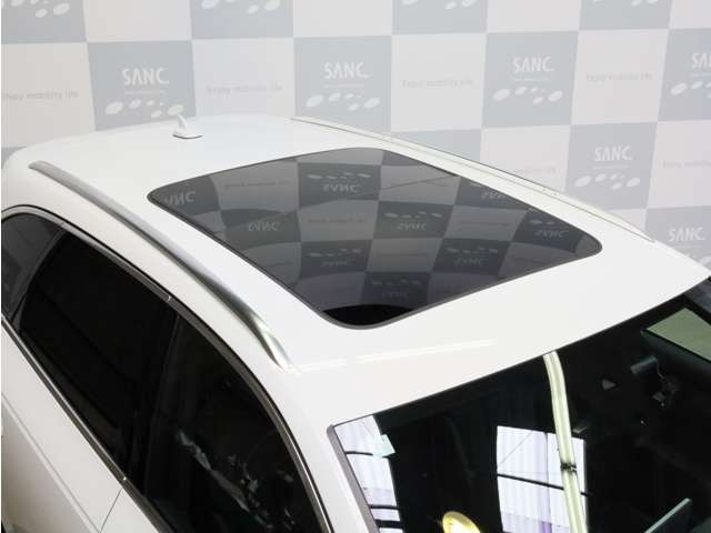A4アバント40 TFSI マイスターシュトュック Sラインパッケージ