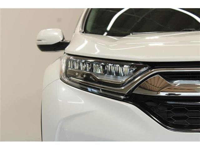 �ቿ�i�ŗǎ��Ȃ��Ԃ�S�Б���3,000�݌ɂ��炨�I�т��������܂��B�c�Ǝ��� 10:00�`19:00