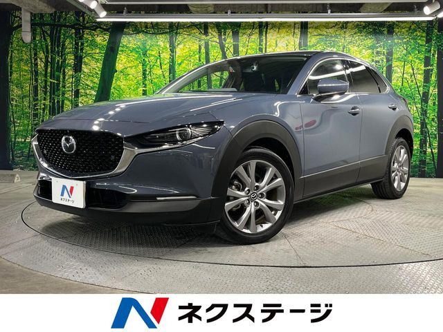 CX-301.8 XD プロアクティブ ツーリングセレクション