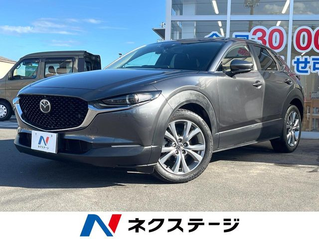 CX-302.0 20S プロアクティブ