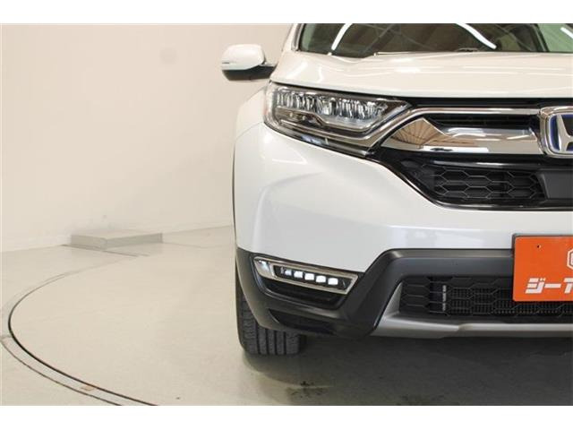�ቿ�i�ŗǎ��Ȃ��Ԃ�S�Б���3,000�݌ɂ��炨�I�т��������܂��B�c�Ǝ��� 10:00�`19:00