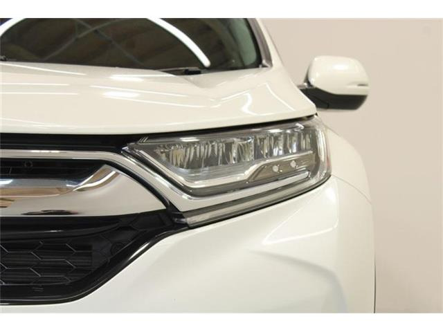 �ቿ�i�ŗǎ��Ȃ��Ԃ�S�Б���3,000�݌ɂ��炨�I�т��������܂��B�c�Ǝ��� 10:00�`19:00