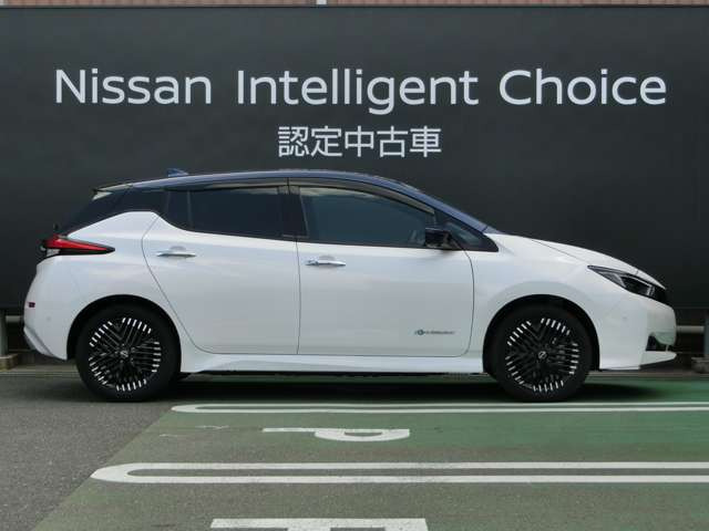 リーフe+ G