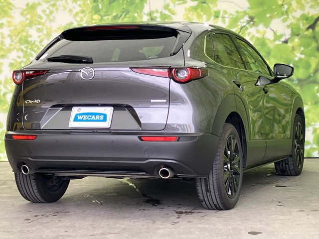 CX-302.0 20S レトロスポーツエディション