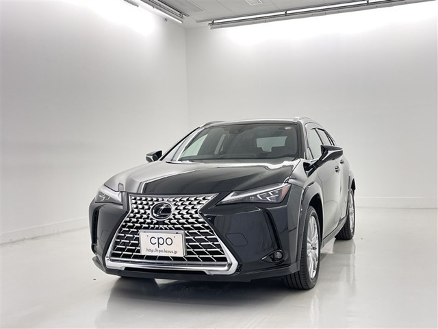 UX250h グレイスフル エクスプローラー