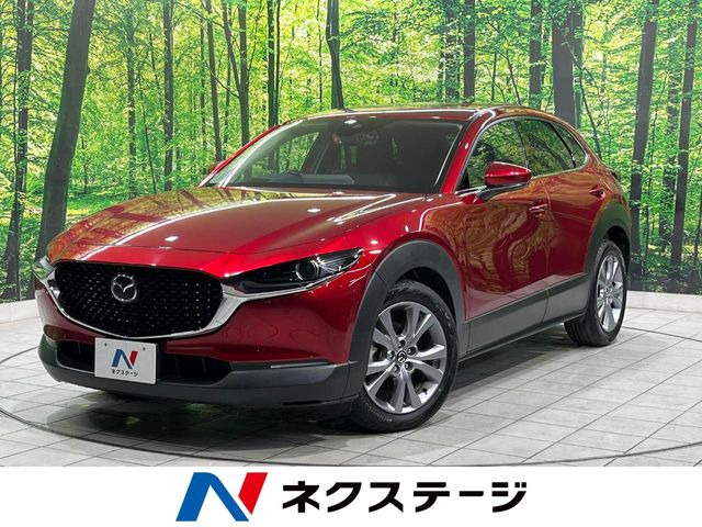 CX-301.8 XD プロアクティブ