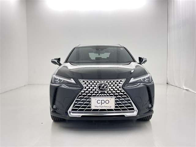 UX250h グレイスフル エクスプローラー