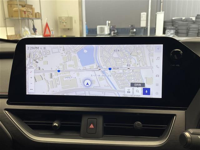 UX250h Fスポーツ エモーショナル エクスプローラー