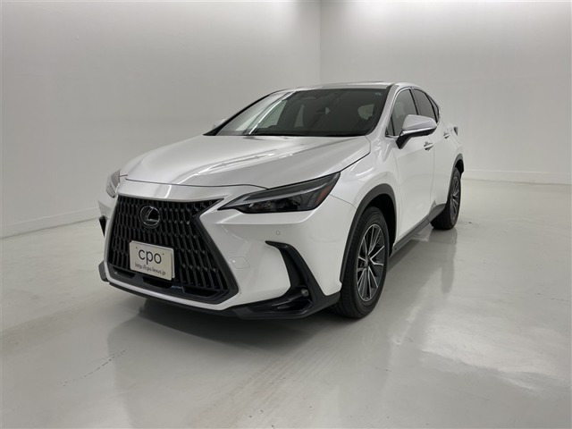 NX