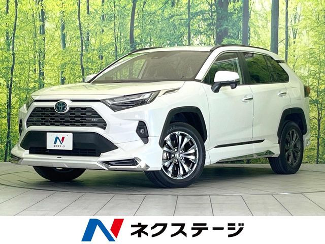 RAV42.5 ハイブリッド G E-Four 4WD