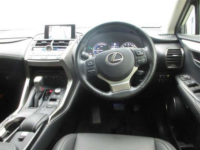 NX300h Iパッケージ 4WD