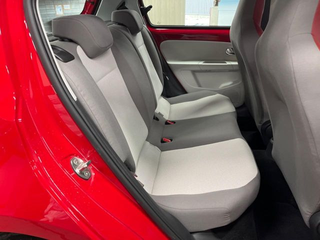 ���㕔���Ȃ��C�ɂȂ�悤�ȃL�Y�E�����ւ��蓙�A�傫�ȃ_���[�W�͂Ȃ��A�ǍD�ȏ�Ԃł��B
