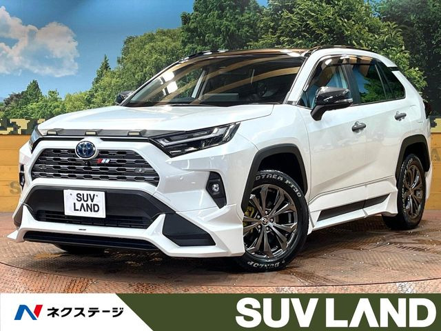 RAV42.5 ハイブリッド G E-Four 4WD