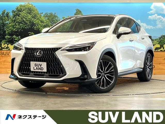 NX250 バージョンL