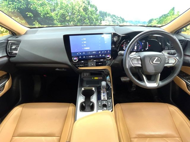 NX250 バージョンL