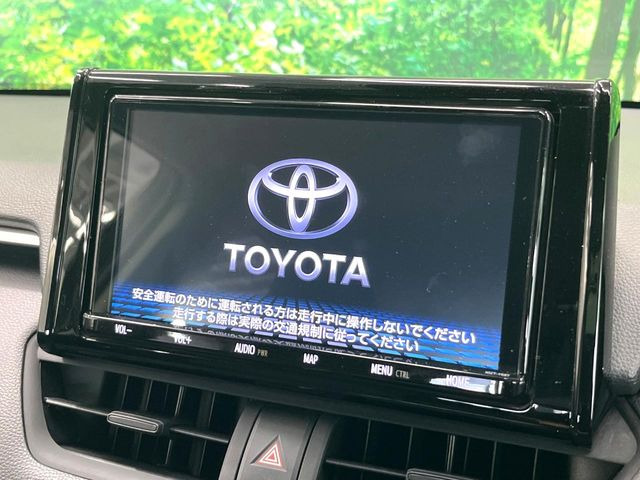RAV42.0 X
