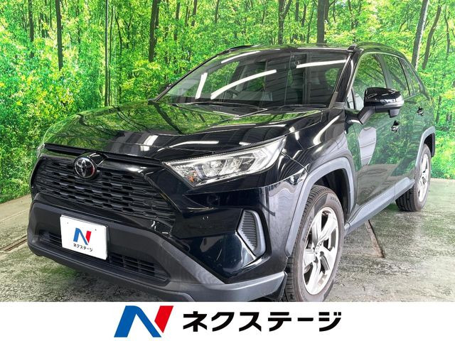 RAV42.0 X