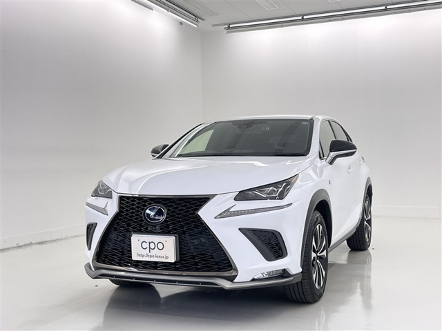 NX300h Fスポーツ