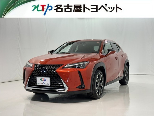 UX250h バージョンC
