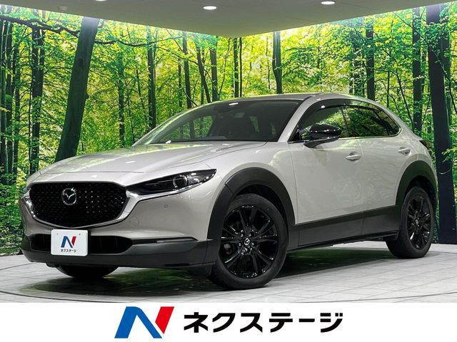 CX-302.0 20S ブラックトーンエディション