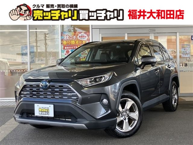 RAV42.5 ハイブリッド G E-Four 4WD