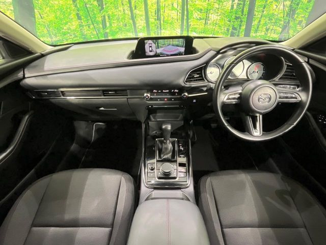 CX-302.0 20S ブラックトーンエディション