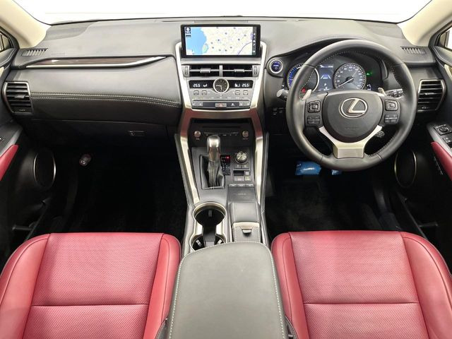 NX300h バージョンL