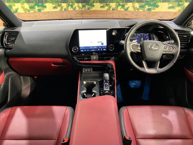 NX250