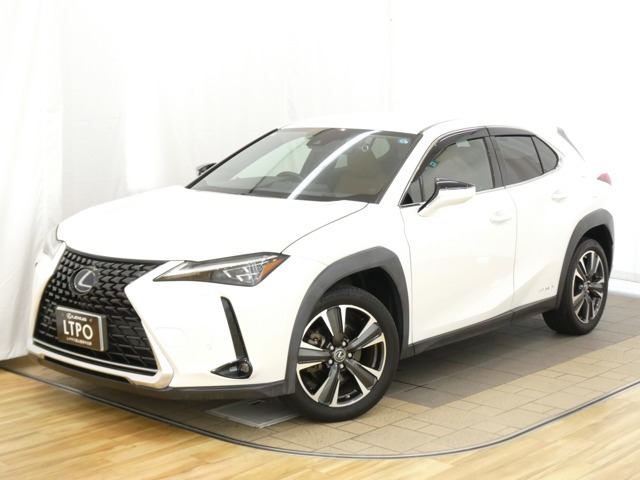 UX250h バージョンL 4WD