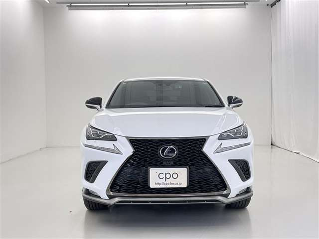 NX300h Fスポーツ