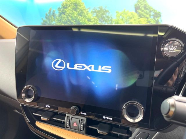 NX250 バージョンL