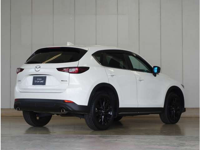 CX-52.0 20S ブラックトーンエディション
