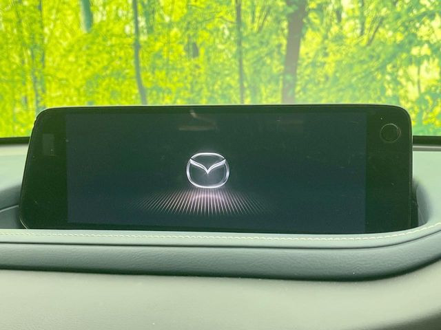 CX-302.0 20S