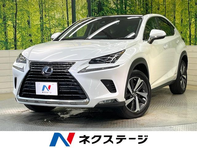 NX300h バージョンL