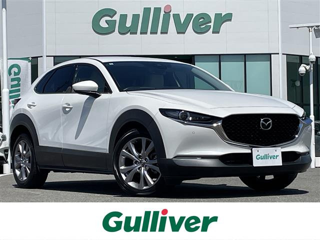 CX-301.8 XD Lパッケージ